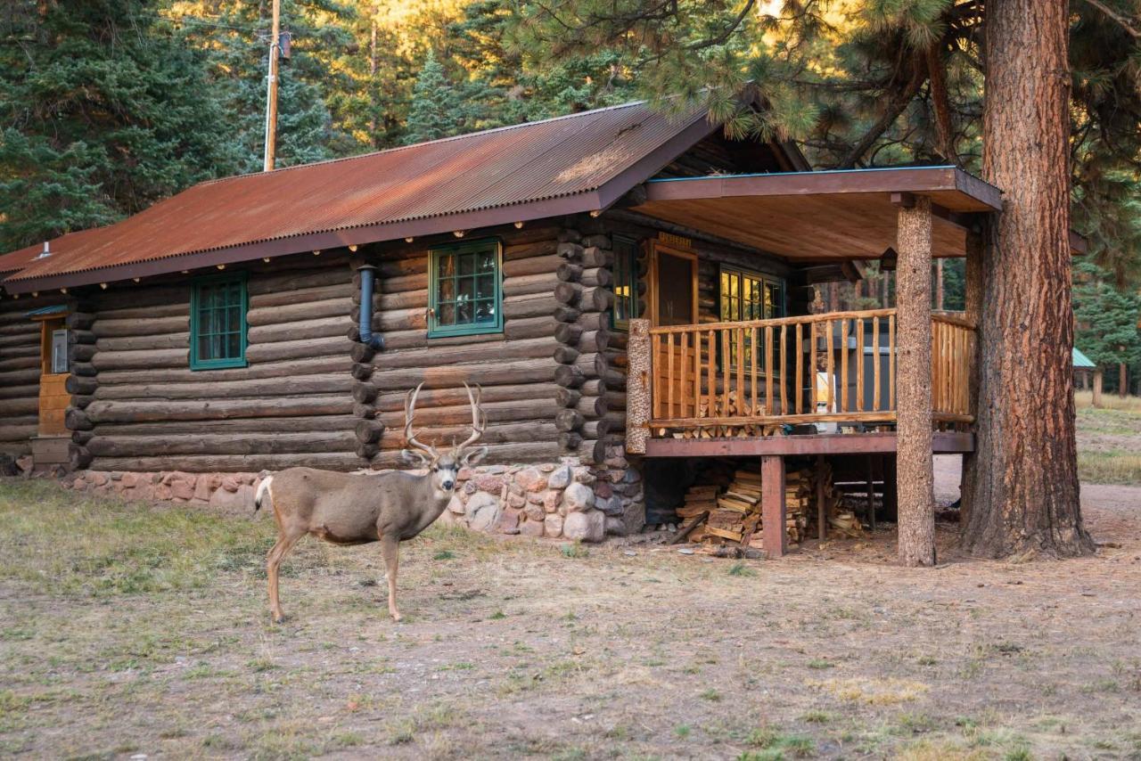 Chama Corkins Lodge מראה חיצוני תמונה